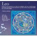Wensli Silk Scarf - 12 constellations